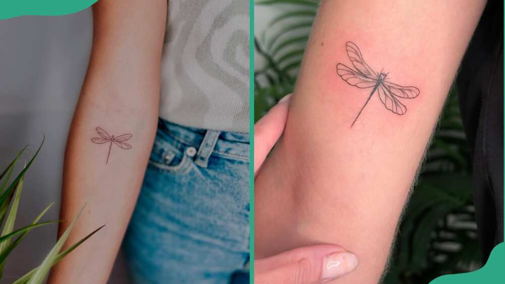 Cute fine line dragonfly tattoos