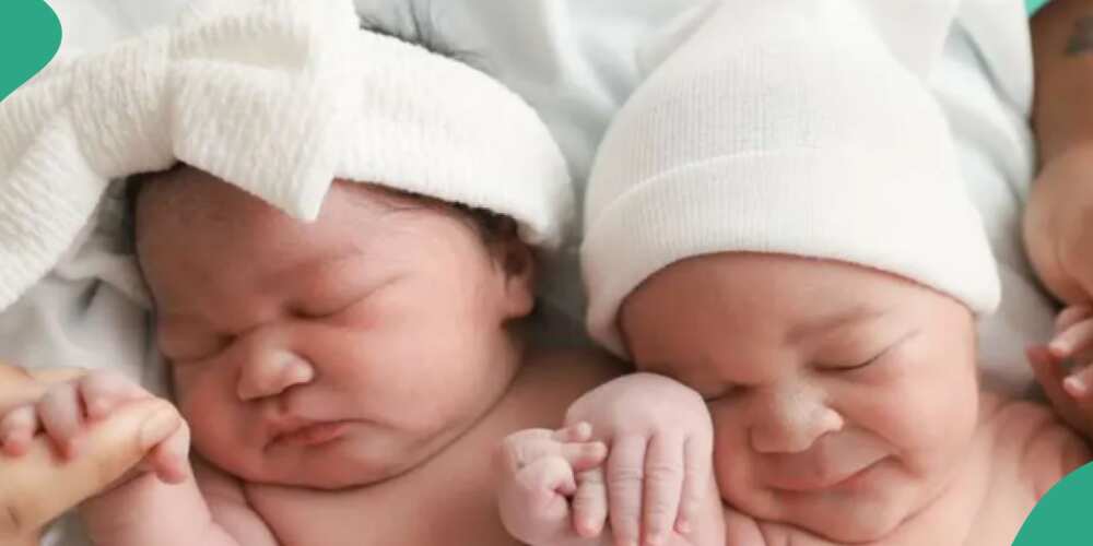 Aaliyah Kiyomi and her lover Myjel holding their newborn twins.