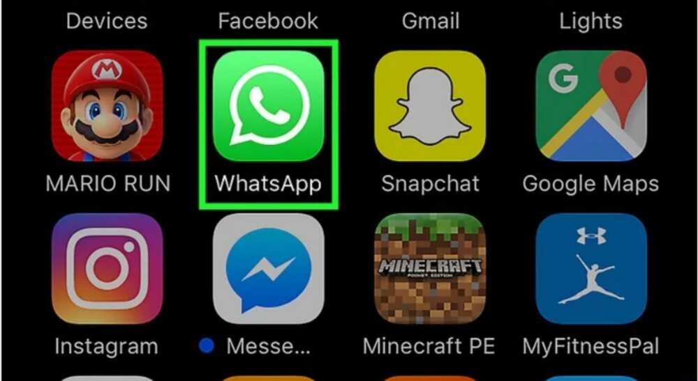 Open the WhatsApp app