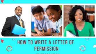 application letter primary school