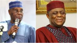 2023 election: “You only have 29 Senators in a 109-member chamber,” Fani-Kayode mocks PDP, Atiku