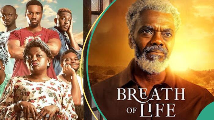 AMVCA 2024 Best Movie: Fans pick between A Tribe Called Judah and Breathe of Life, give reasons