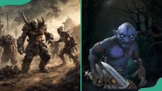250+ badass orc names: find a suitable name for your character