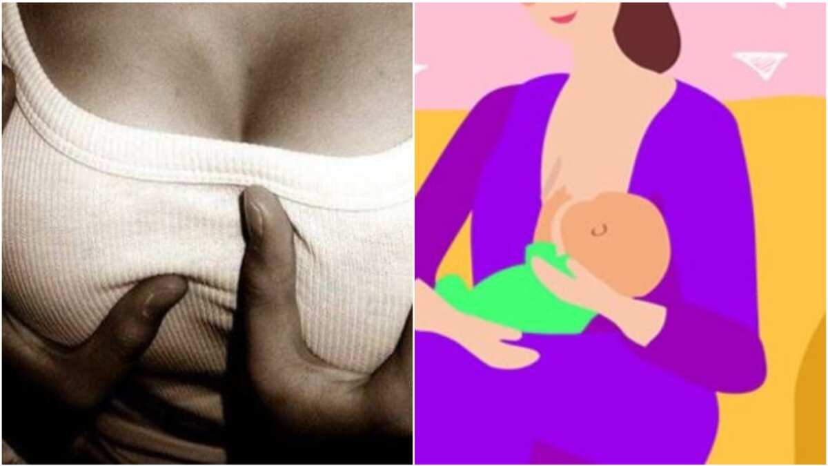 7 reasons women should allow men to suck their breasts