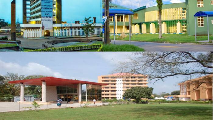 The most beautiful university in Nigeria: Top 10 in 2022