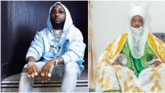 Beryl TV 69e605e36e48085f “Amanda Is Living My Life”: Beautiful Moment Davido Picked Little Girl Out of a Crowd To Take Photos With Him 