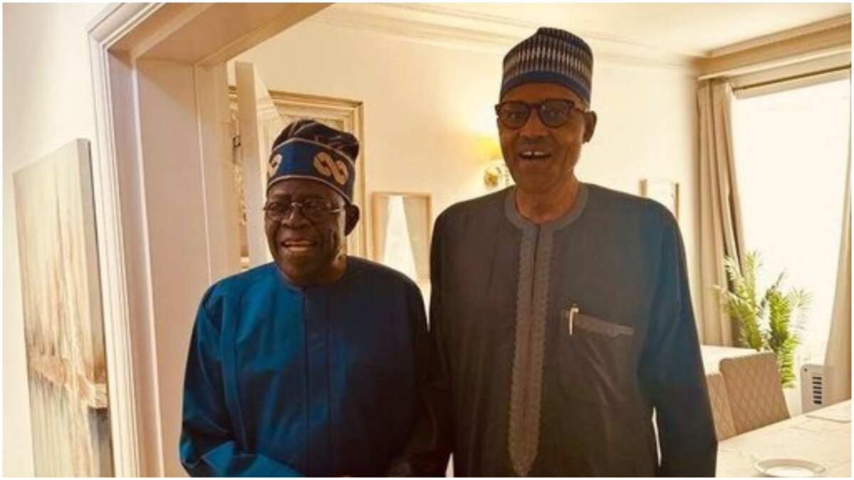 Tension erupts as Tinubu sets to remove some Buhari's appointees