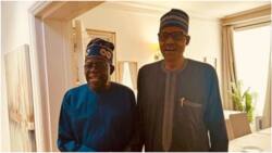 BREAKING: Buhari asks President Tinubu to stop probing Emefiele, others? Real fact emerged