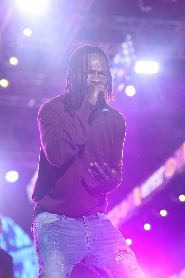 Burna Boy, Flavour, others: BAFEST celebrates the best Africa has to offer