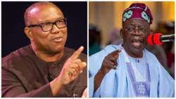 Tinubu's ambition threatened as top APC chieftain declares support for Obi