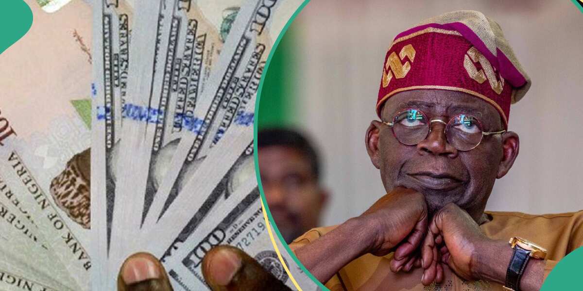 Naira Sells For New Rate As Nigeria Secures New $925 Million Oil-Backed ...