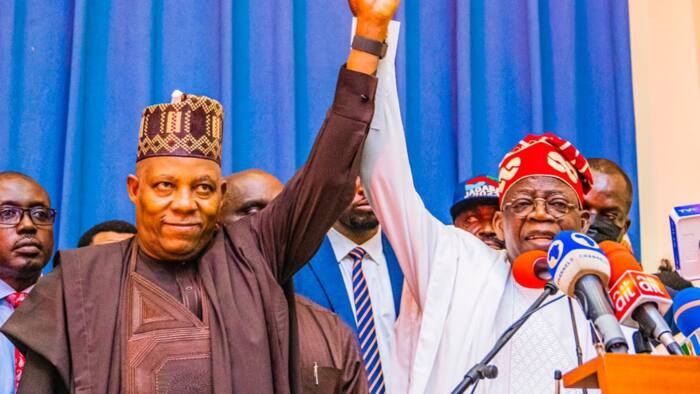 Ohanaeze group takes important decision over Tinubu/Shettima's ticket, 1 top northern governor