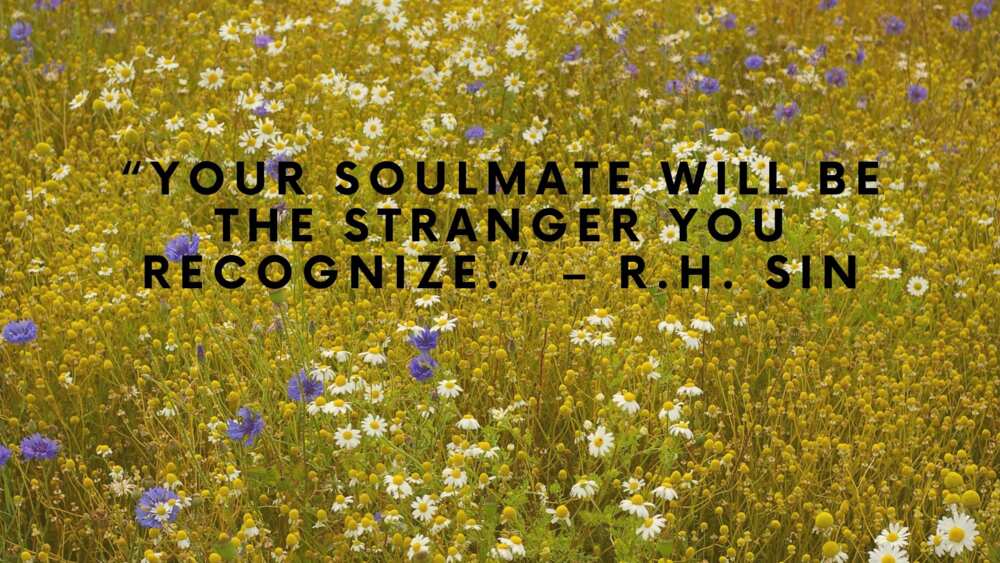 You are my soulmate quotes