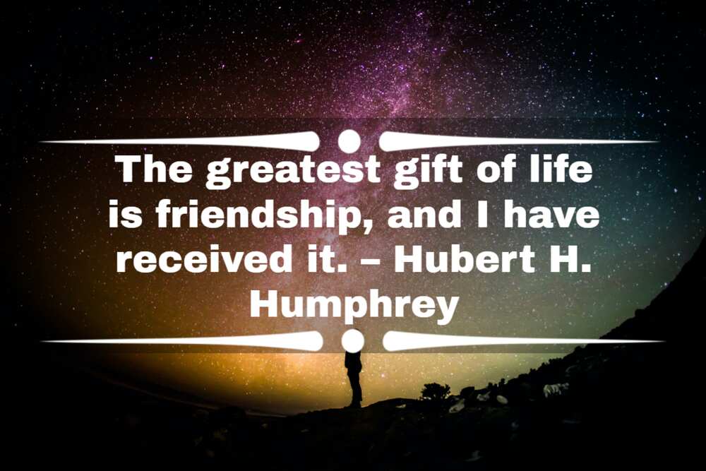 80 Thankful for Friendship Quotes to Show Your Appreciation