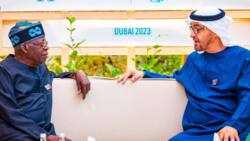 BREAKING: Tinubu meets UAE president, shares details, photos