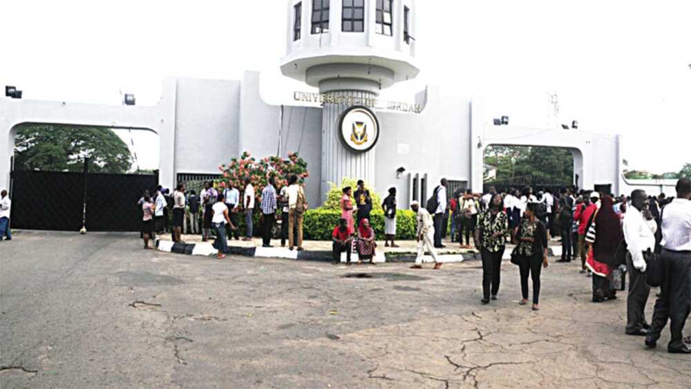 Institution and stidents Institution and stidents