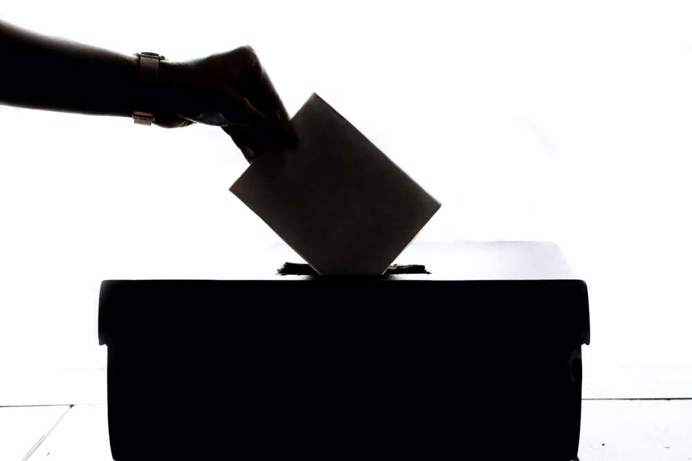 meaning of political apathy meaning of political apathy