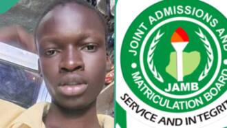 "Despite the mass failure": UTME result of Deeper Life boy in Taraba surfaces online, melts hearts