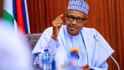Unemployment: Buhari sends strong message to Youths searching for government jobs