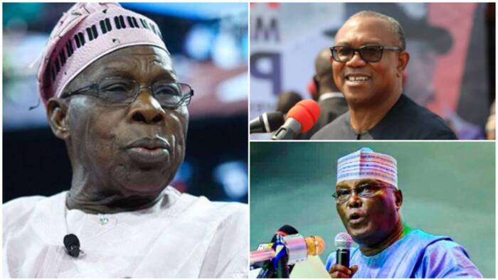 2023 presidency: Obasanjo, ex-generals dump Atiku, back powerful PDP chieftain