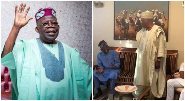 Bola Tinubu, Babagana Kingibe