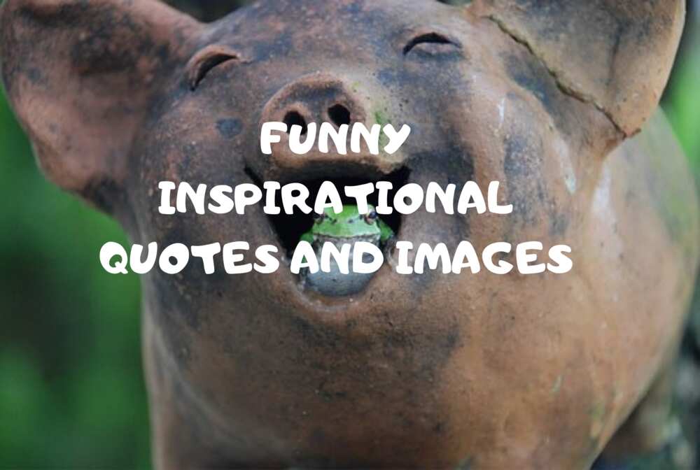 funny inspirational quotes funny inspirational quotes