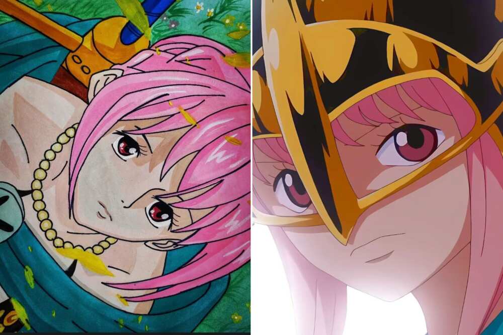 one piece girls one piece girls