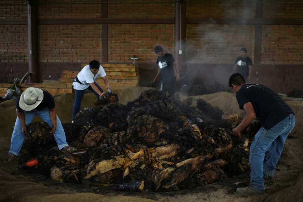 Workers cook agave hearts at the Real Minero mezcal factory in Mexico's Oaxaca State