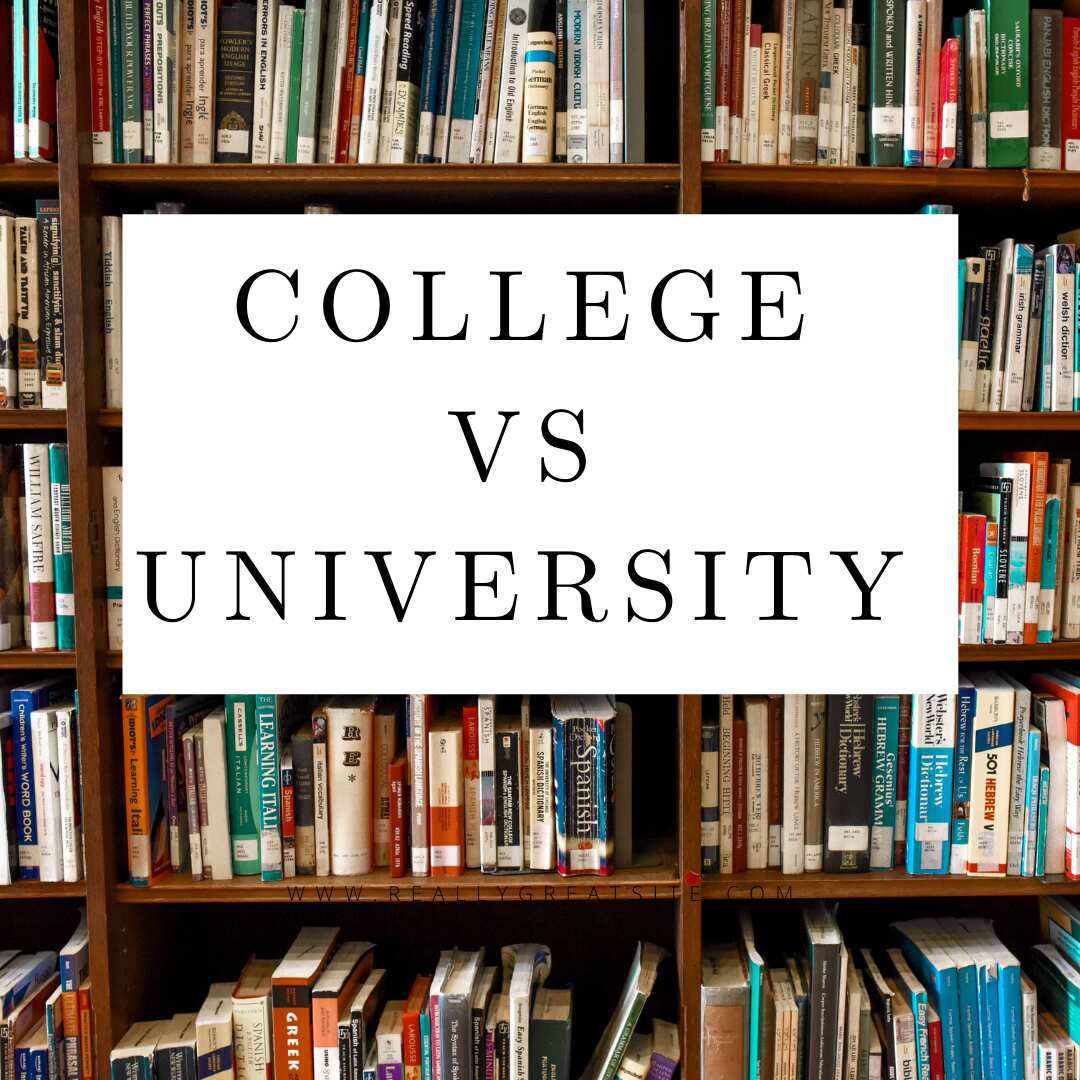 College vs. University: What's the Difference?, Best Global Universities