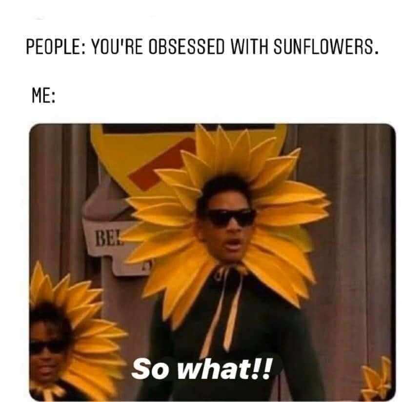 Sunflower meme