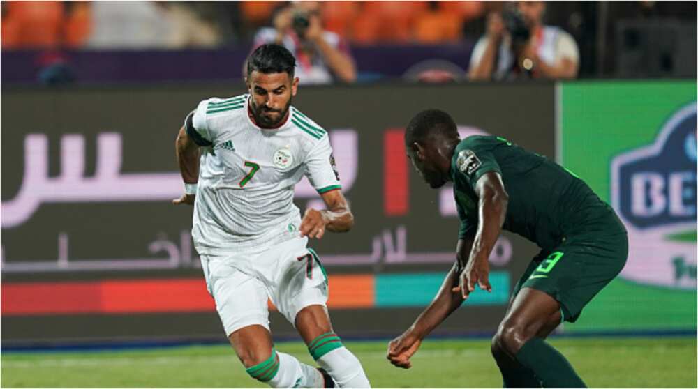 Nigeria vs Algeria: Super Eagles set for friendly showdown with reigning African champions