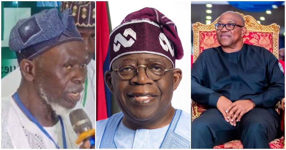 Tinubu: Is Apapa, Abure's Fight Threat To Peter Obi's Anticipated ...