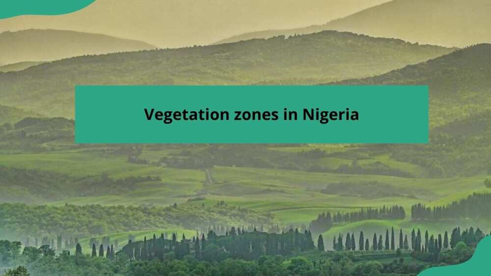 vegetation zones in Nigeria