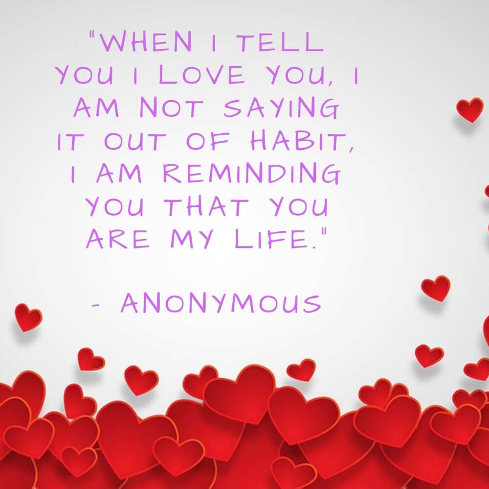 50+ True Love Quotes: Romantic Messages for Your Love