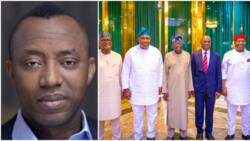 “From G-5 to G-strings, hustler united”, Sowore drags Wike, others over meeting with Tinubu