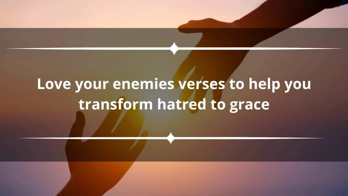 16 love your enemies verses to help you transform hatred to grace