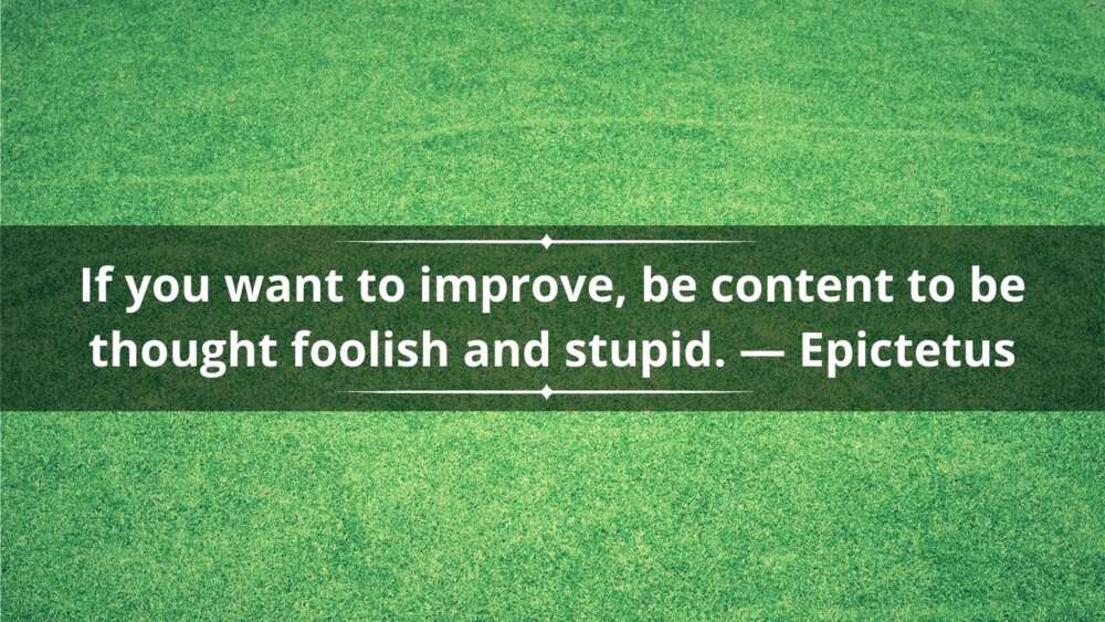 Stoic quotes on self-improvement