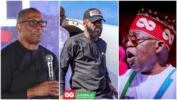 Bola Tinubu's son meets E-Money, Odumeje, other southeast dons at Peter Obi's backyard, video emerges