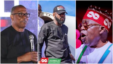 Bola Tinubu's son meets E-Money, Odumeje, other southeast dons at Peter Obi's backyard, video emerges