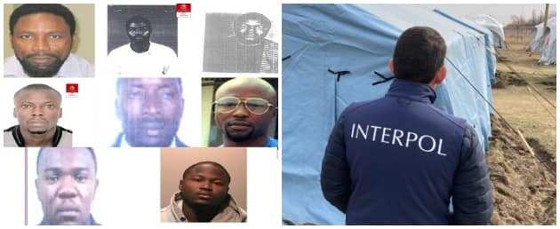 'Yan Najeriya 8 da Interpol Ke Nema ido Rufe