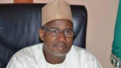 Bauchi governor Bala Mohammed makes confession about how fear gripped him ahead of Supreme Court verdict