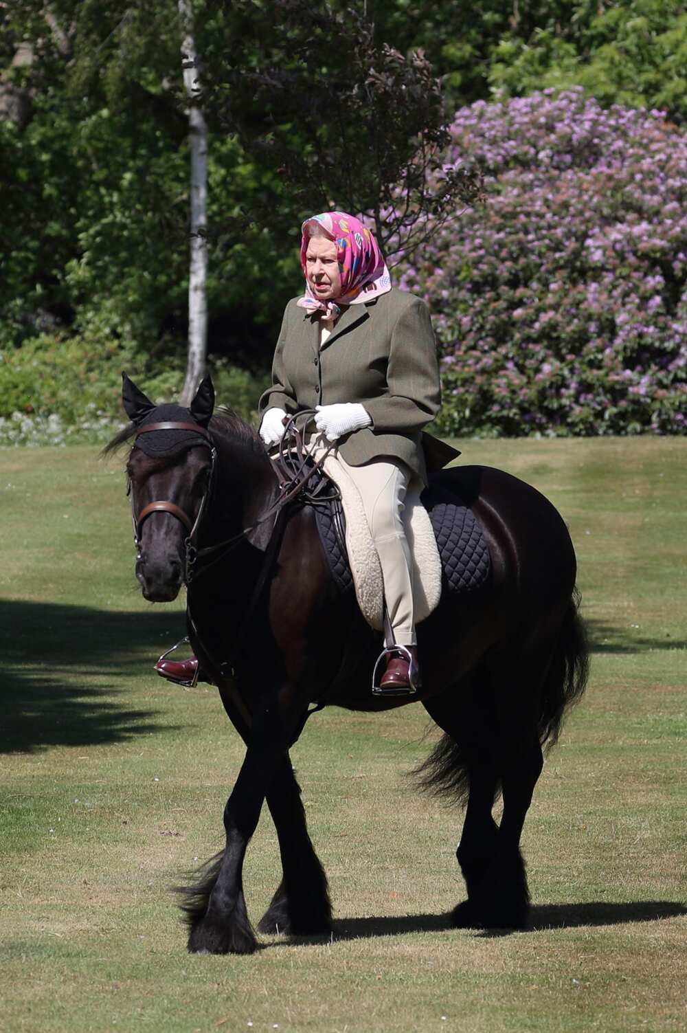 Queen spotted for 1st time since lockdown riding horse at castle