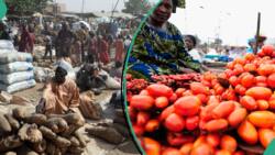 Nigeria ranks high among African countries with high food inflation