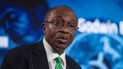 2023 and Godwin Emefiele’s vantage point by Stanley Ebube
