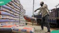 Dangote Cement to distribute money to shareholders amid cement price hike, announces payment date