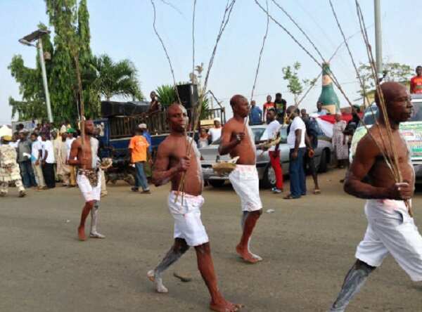 Interesting facts about Sharo, the Fulani festival where boys endure flogging as a rite of passage