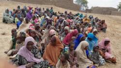 Boko Haram: Sojin Najeriya sun ragargaza 'yan ta'adda 20, sun kwato mutum 241(Hotuna)