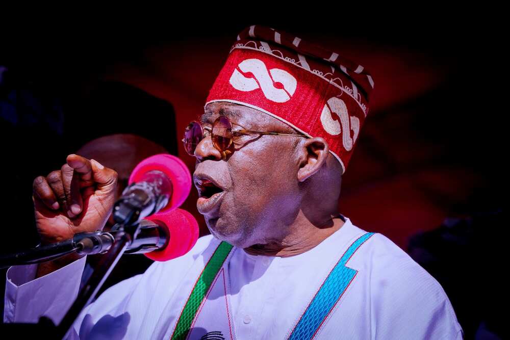 Bola Tinubu/APC/2023 Election/Southeast/Supreme Court/Arewa