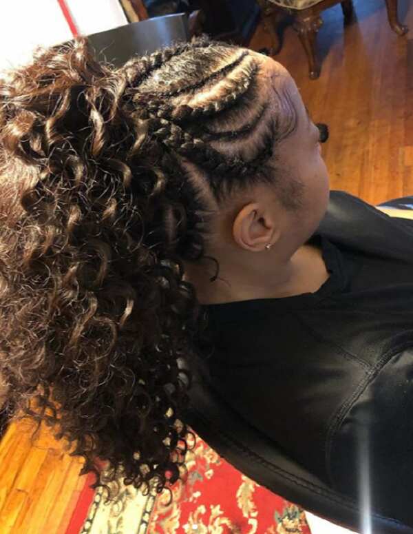 50+ latest feed in braids styles of 2024: best ideas to try 