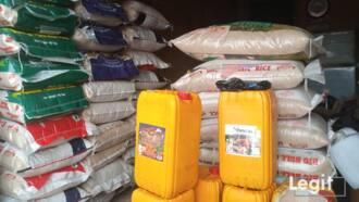 Oxfam tells Nigerians to be Ready to Pay More for Rice this December, Give Reasons